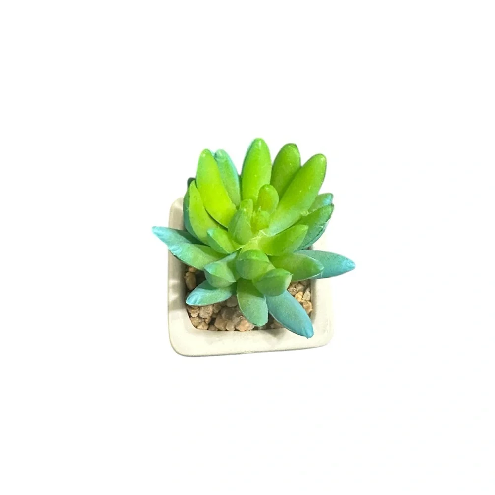 Set of 4 Faux Succulent Plants in White Ceramic Pots